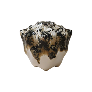 ВАЗА ТИГРОВАЯ